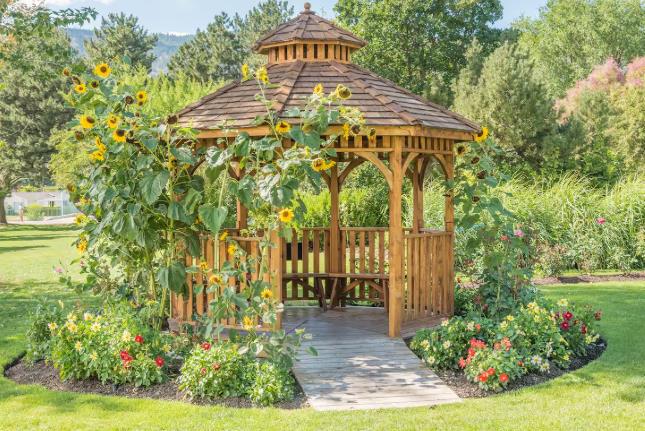 Plant Around A Round Pavilion Or Gazebo Plant Around A Round Pavilion Or Gazebo