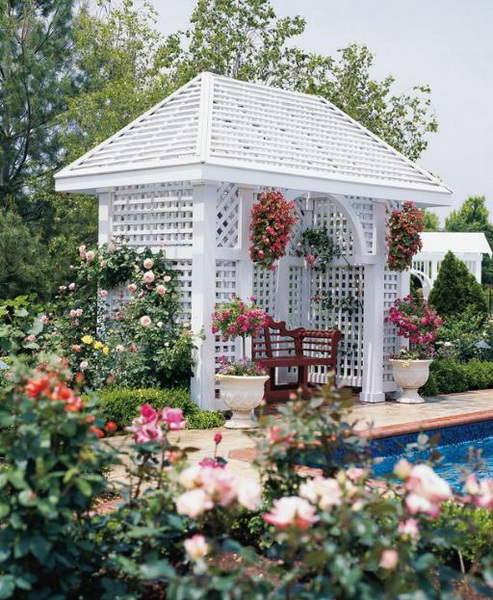 Plant Around A Pavilion Or Gazebo 1 Plant Around A Pavilion Or Gazebo 1