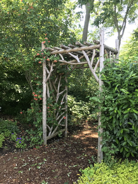 arbors trellises and pergolas_3
