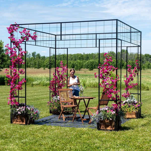 Climbing Flower Structure