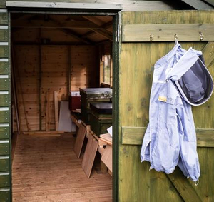 Kill Bees in A Shed 1.jpg