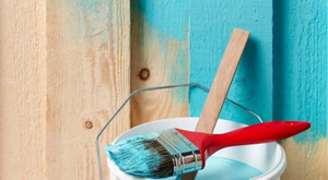 Paint A Pressure Treated Shed_1.jpg