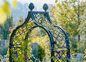 the Benefits of Metal Garden Structures.jpg