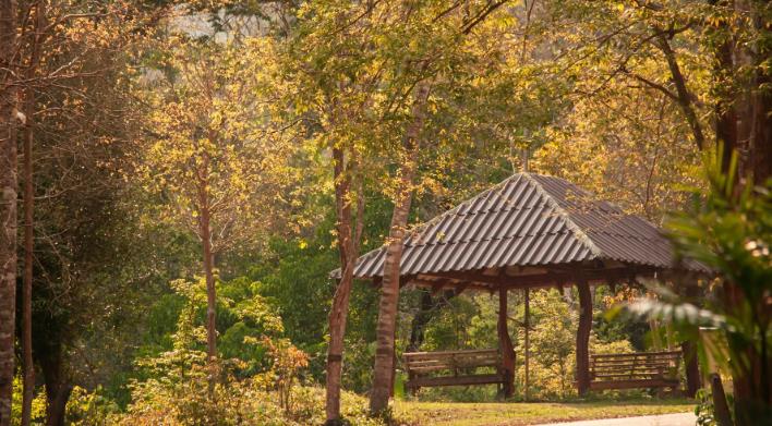 Maintain a Timber Pavilion Structure Over Time 2